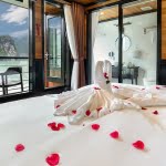 Senior Suite Cabin - Serenity Cruises Senior Suite Cabin - Serenity Cruises