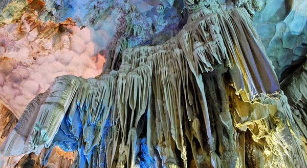 Hang Đầu Gỗ Hạ Long