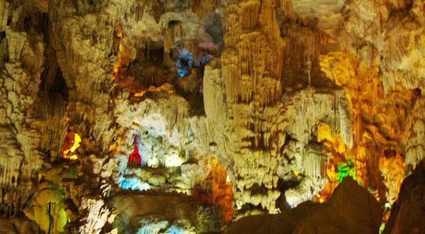 Hang Đầu Gỗ Hạ Long