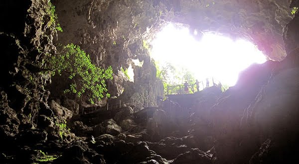 Hang Đầu Gỗ Hạ Long