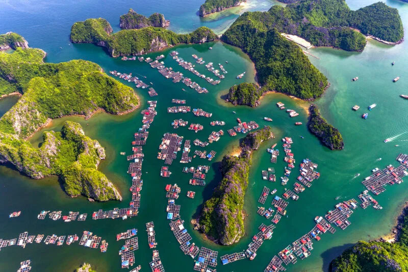 Làng chài Cát Bèo, Cát Bà