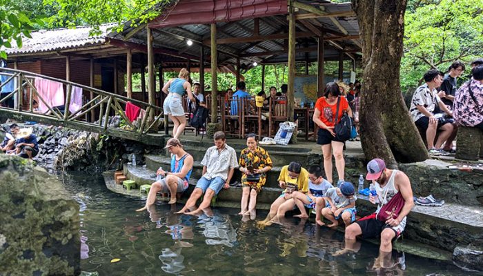 Mát xa cá Làng Việt Hải Mát xa cá Làng Việt Hải