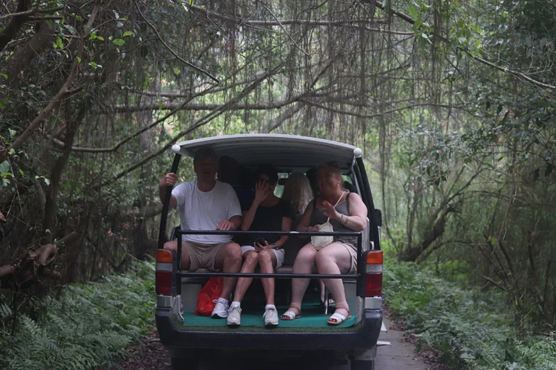 Viet Hai Electric Vehicle